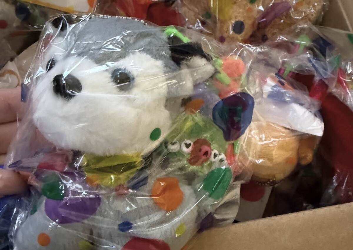 Stuffed animals and gifts packed for hospice birthday deliveries